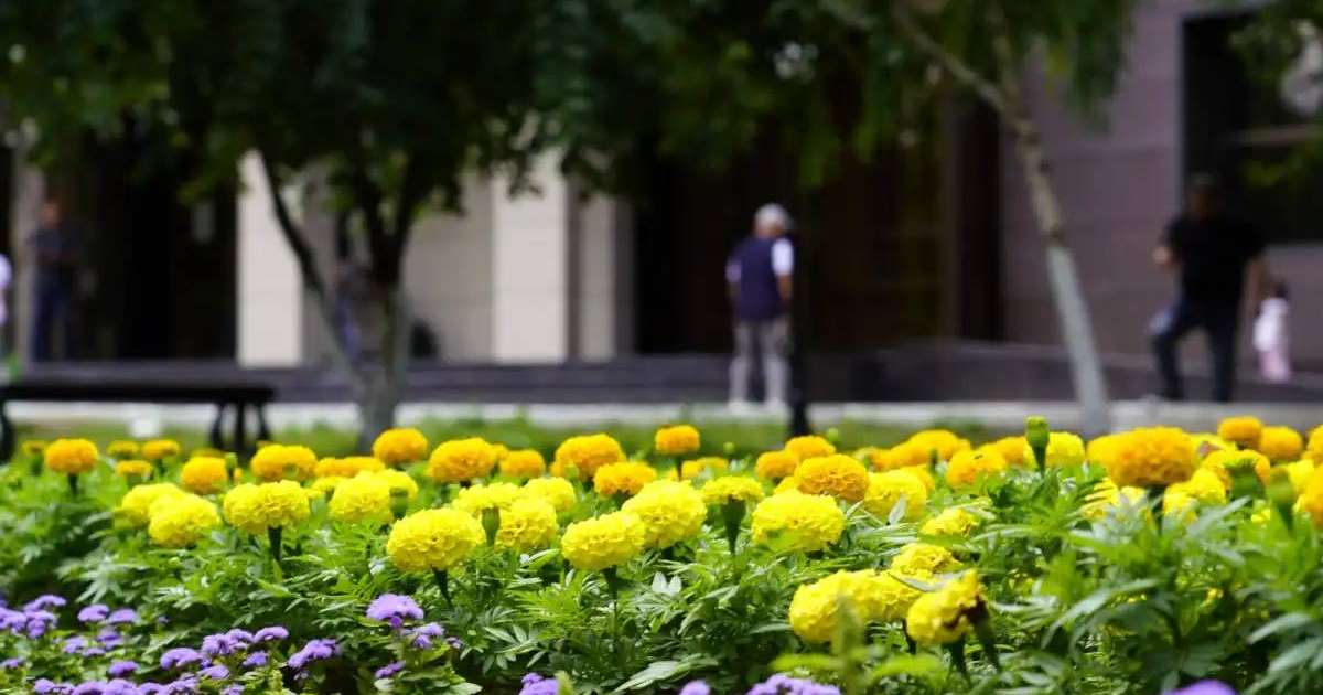 Астанада Конституция күні қарсаңында жаңа гүлзар ашылды