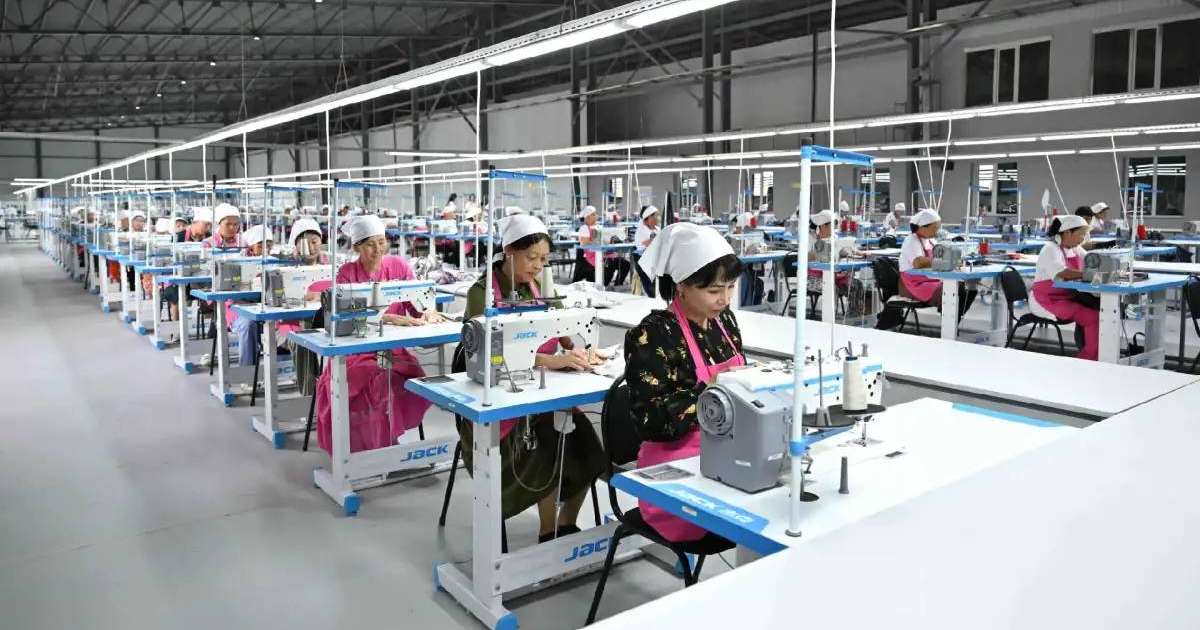 Президент Жолдауын іске асыру: Ұлттық жұмыспен қамту жоспарының 73%-ы орындалды