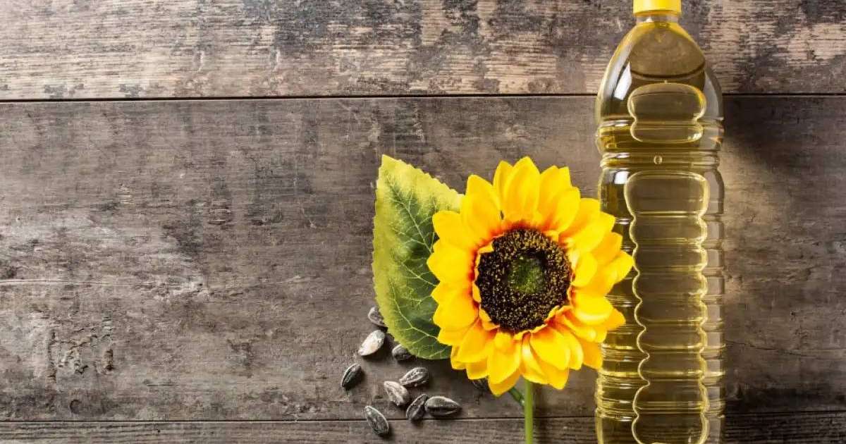 Еліміз алғаш рет күнбағыс майының үздік экспорттаушылары қатарына енді