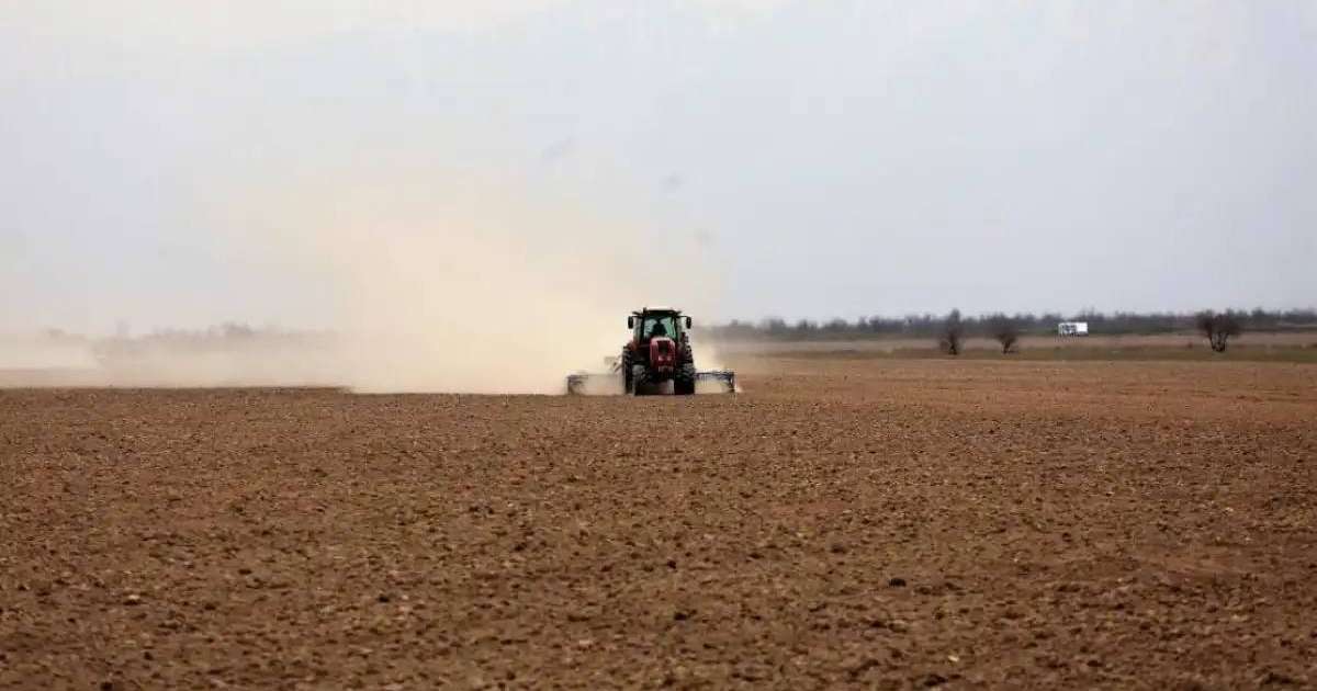 Қазақстанның оңтүстік өңірлерінде көктемгі егіс науқаны аяқталуға жақын