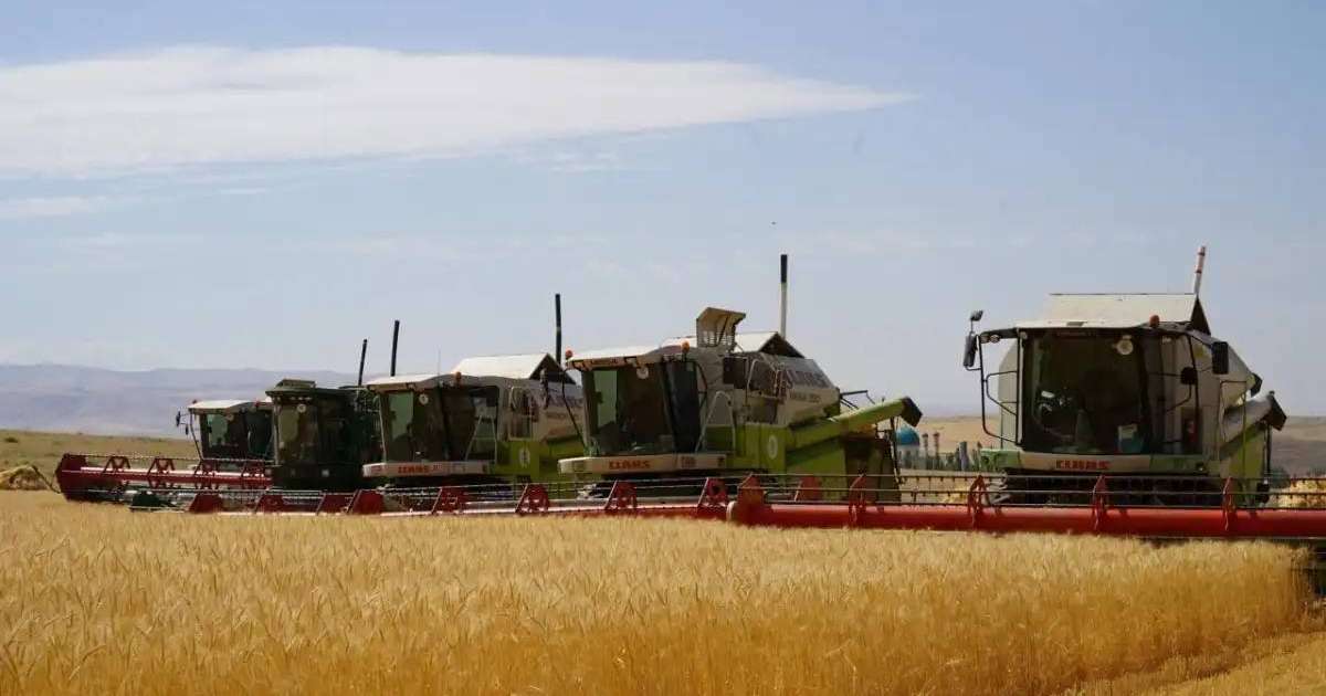 Қазақстанда 12,7 млн тонна астық бастырылды