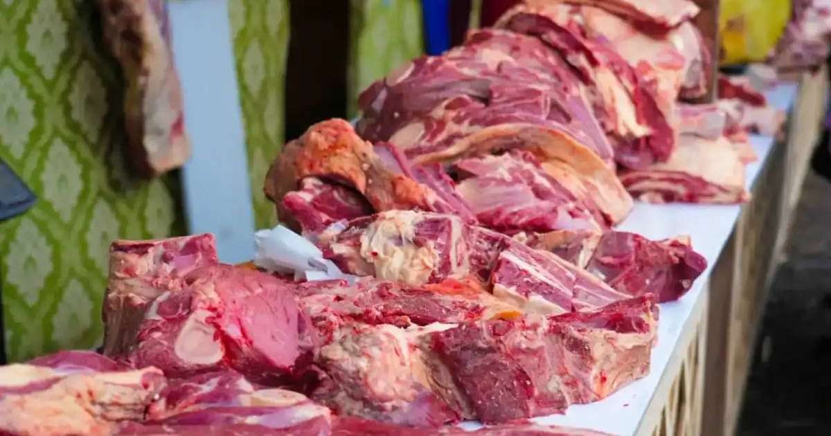 «Ешқандай күмән болмауы керек»: экология министрі киік етінің сапасы туралы айтты