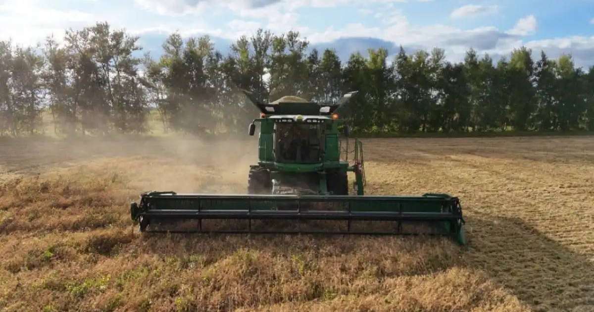 Қазақстанда 5,9 млн тонна астық жиналды