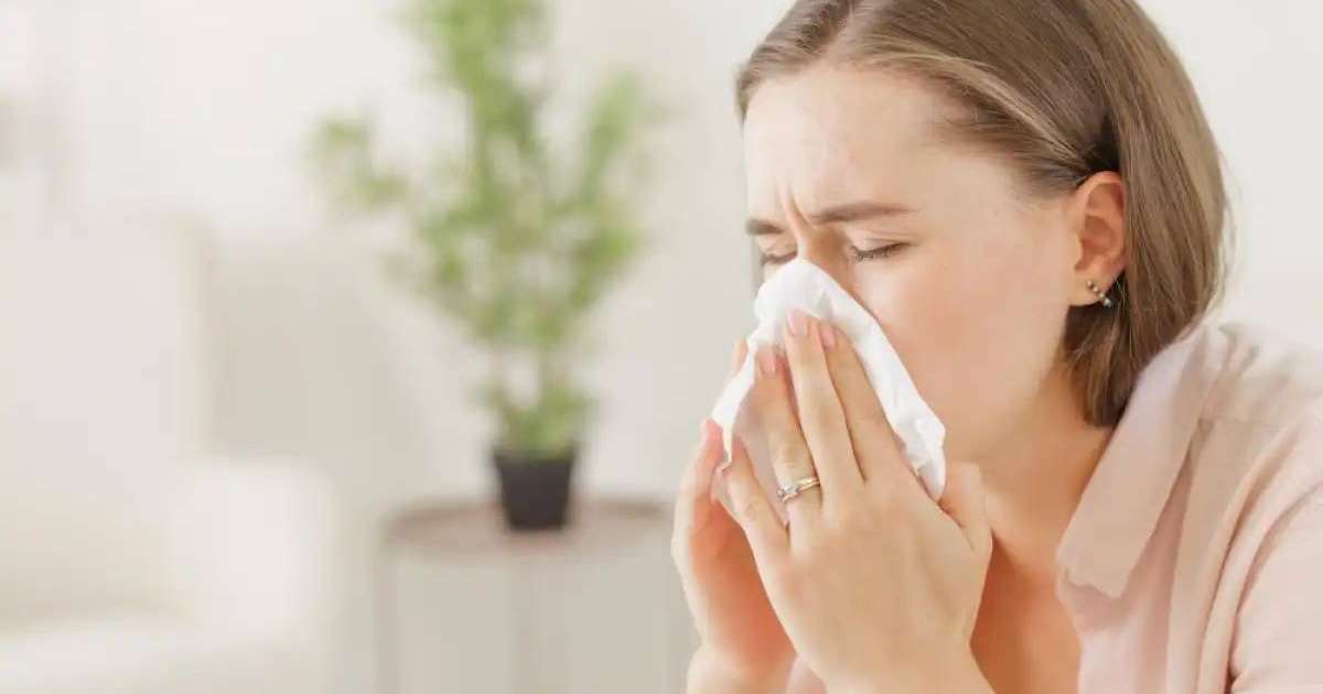 Аллергиялық ринит неден пайда болады