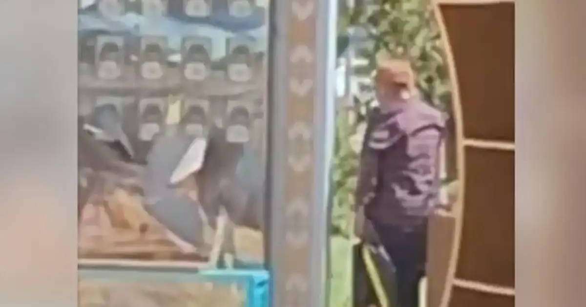 Астанада Абайдың нақыл сөздері жазылған стендті бүлдірген ер адам қамауға алынды