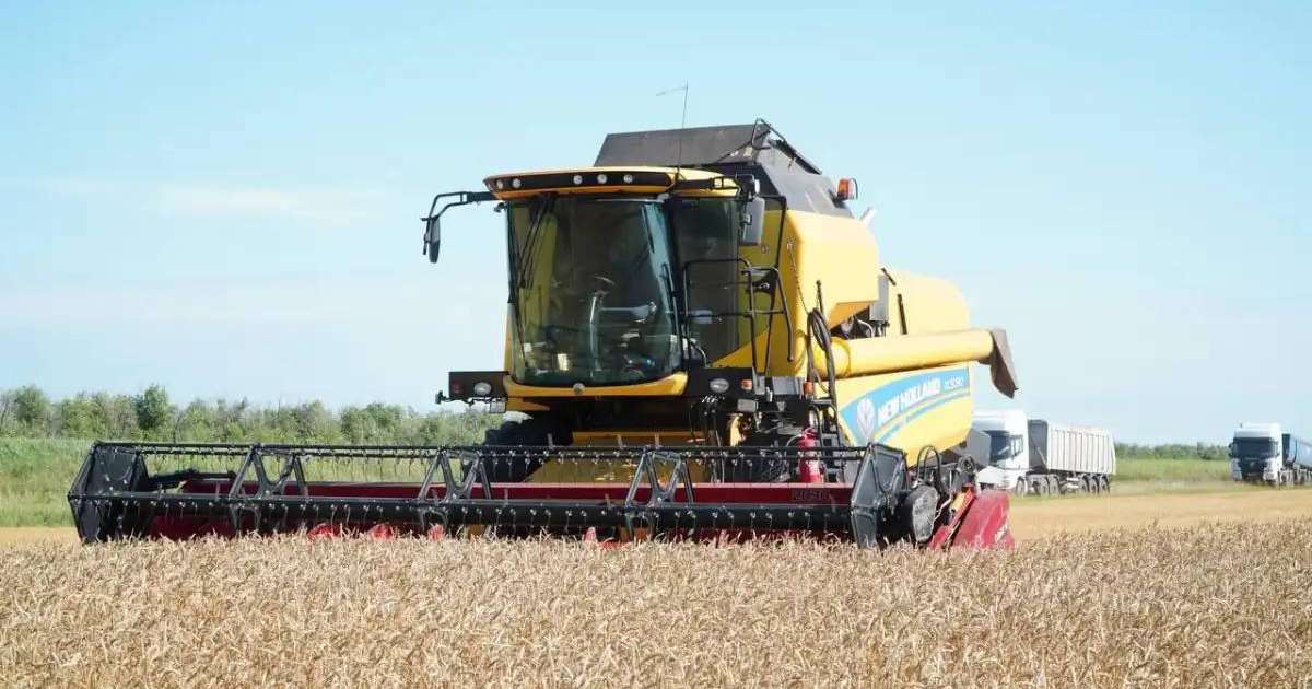 Ақмола облысының екі ауданында күздік дақылдарды жинау аяқталды