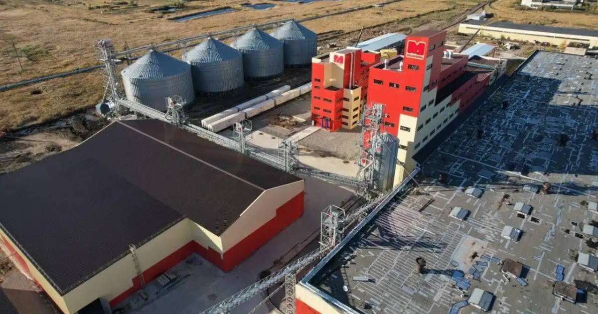 Елімізде майлы дақылдар өңделетін зауыт пайдалануға беріледі