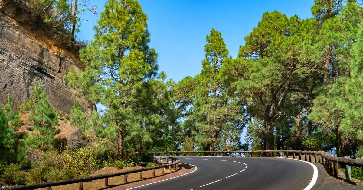 «Өскемен-Рахман қайнары» автожолының бір бөлігінде қозғалысқа шектеу енгізіледі