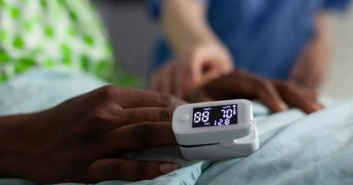 Конгода жарғанат жеген 53 адам көз жұмды