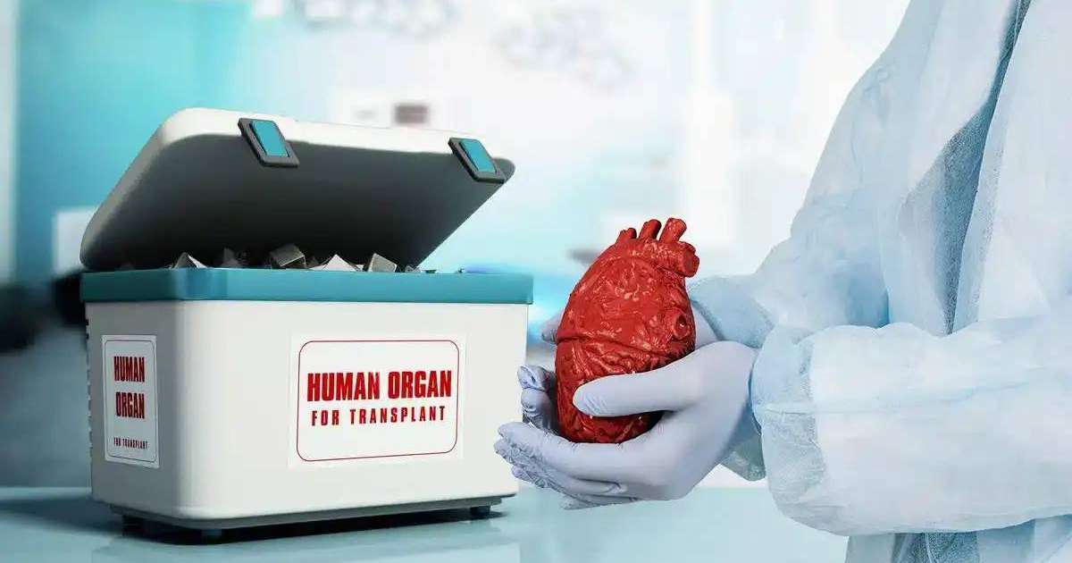 Қазақстандағы донор тапшылығын қалай шешуге болады