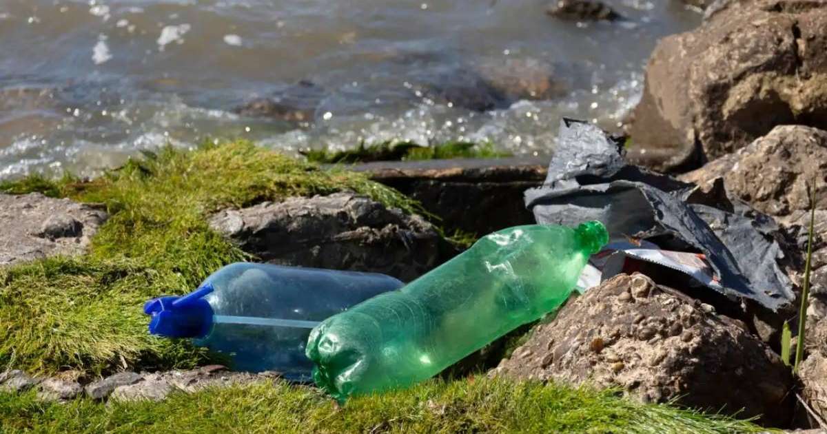 Елімізде рұқсат етілмеген қоқыстарды анықтау бойынша жұмыстар жүргізіліп жатыр