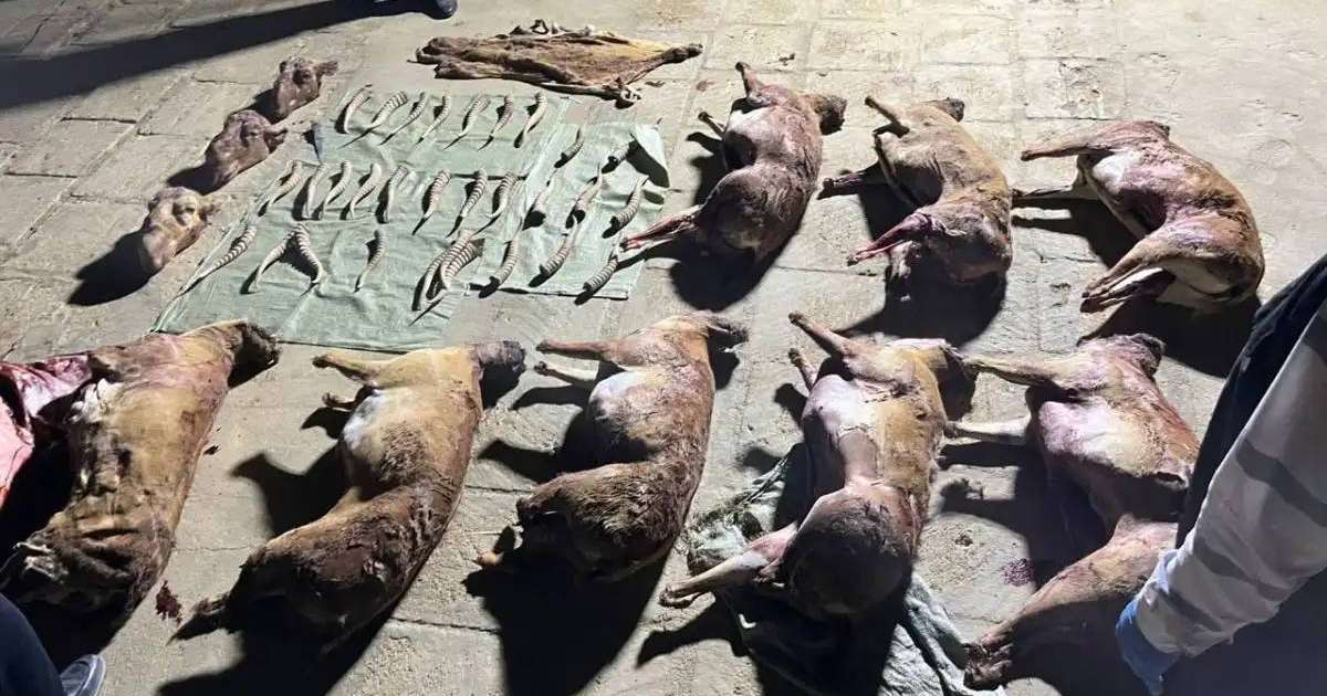 Colman Domingo and Jude Law at amfAR’s Venice Gala