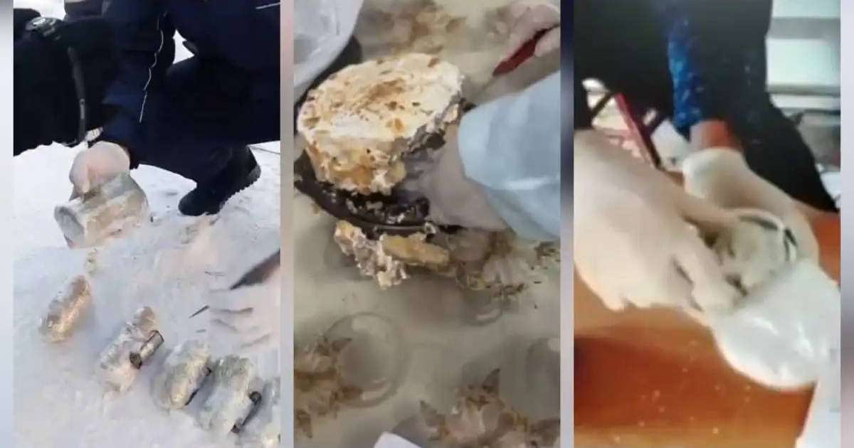 Алматылық адвокат колонияға тыйым салынған затты кіргізуге тырысқан