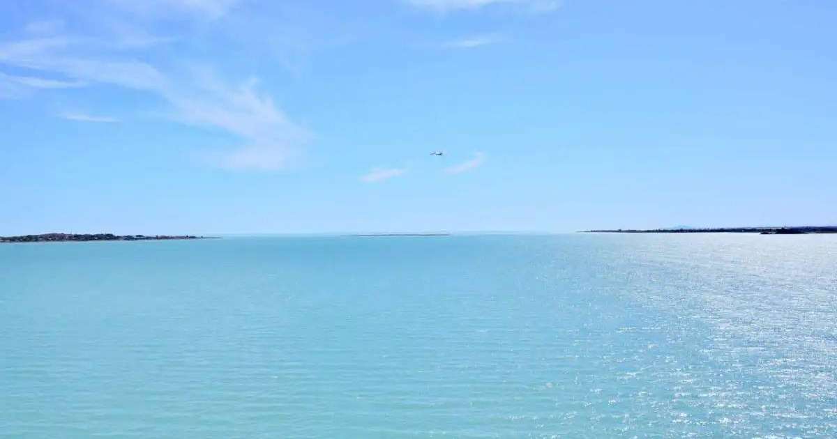 Colman Domingo and Jude Law at amfAR’s Venice Gala
