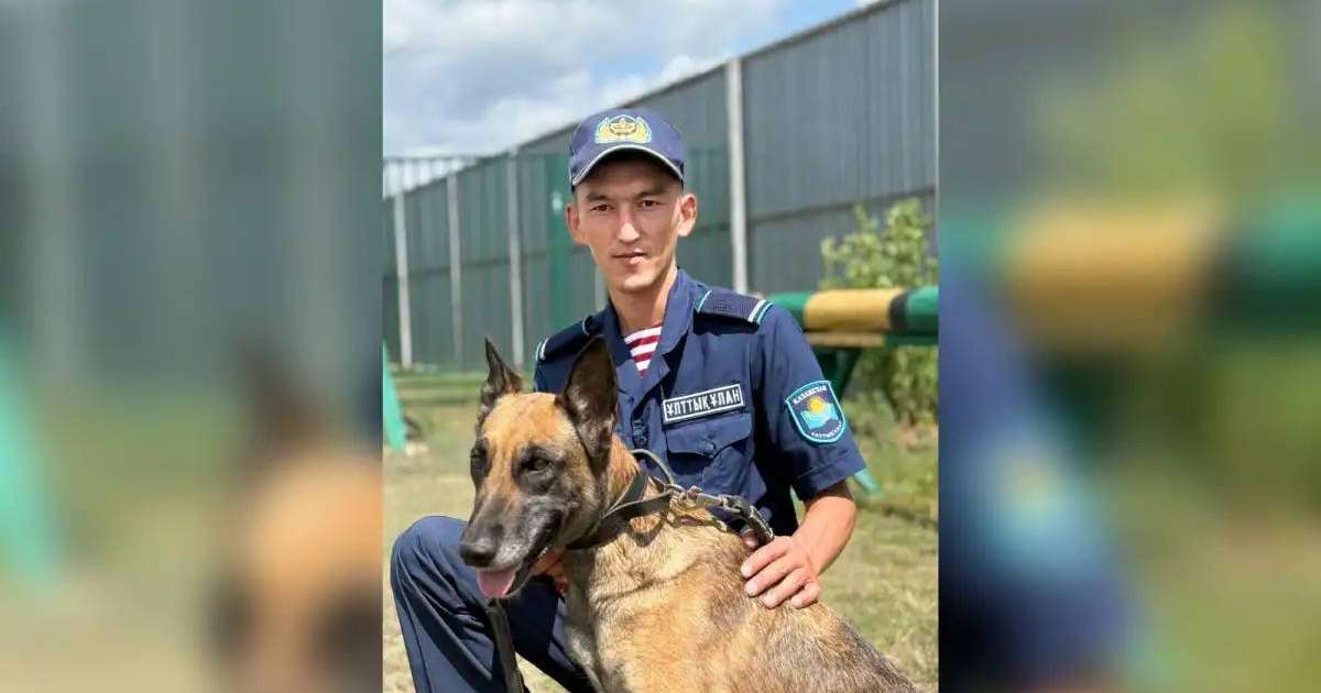 Ұлттық ұланның кинологі Астанада ер адамды құтқарып қалды