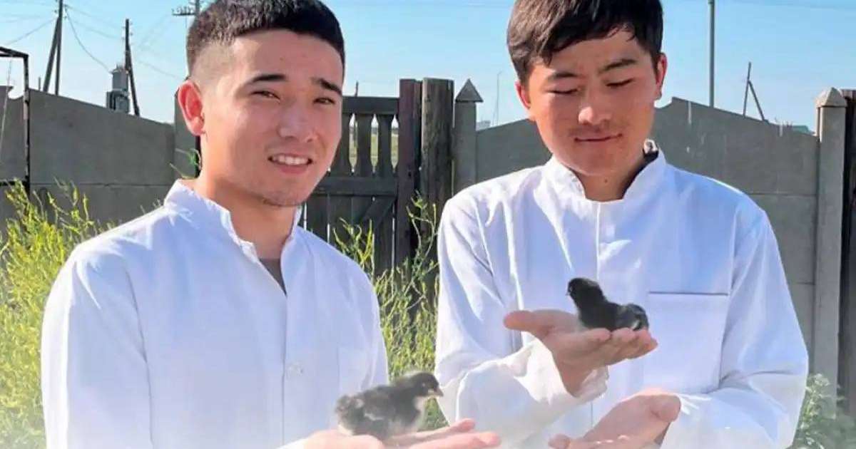 Студенттер сирек кездесетін құс тұқымдарын өсіреді