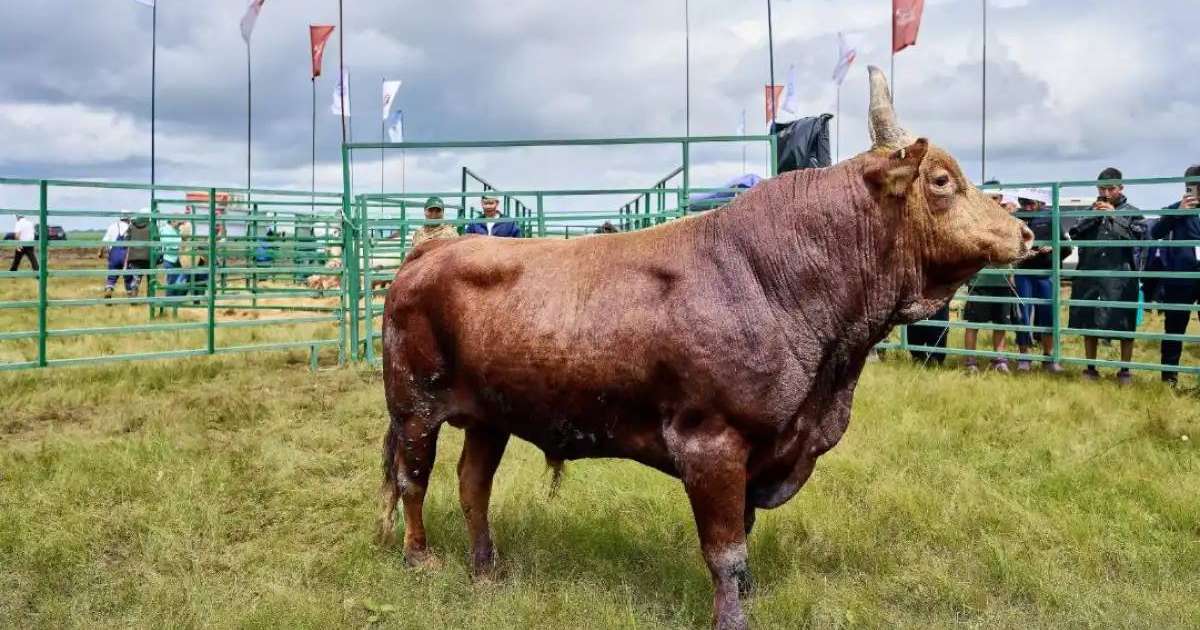 Елімізде Jańa Dala-Green Day‘2025 мамандандырылған көрме-көрсетілімі өтеді