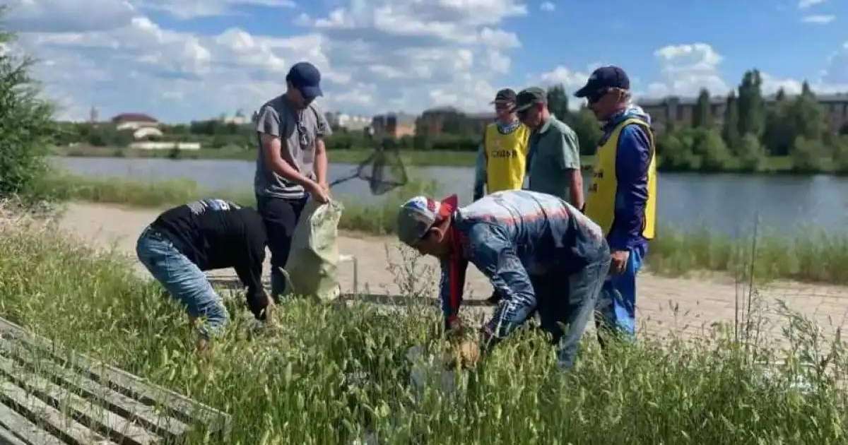 «Таза Қазақстан»: стритфишинг чемпионатының қатысушылары турнирден кейін аумақты тазалады