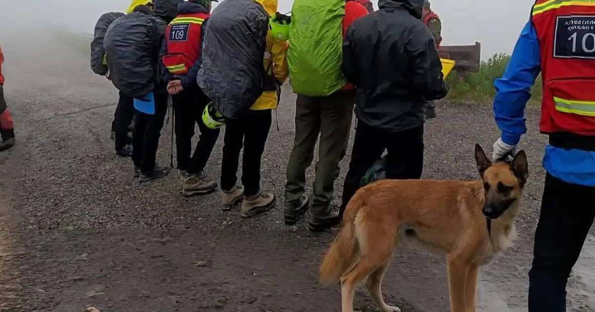 Алматы тауларында жоғалып кеткен студенттің мәйіті табылды
