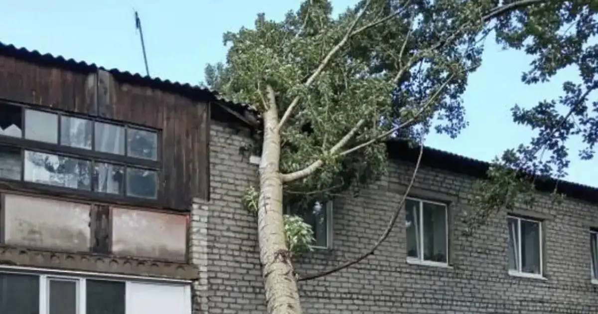 Павлодар облысында болған қатты дауыл салдарынан бір адам қайтыс болды