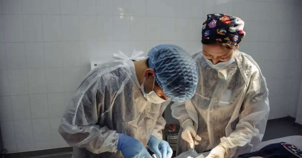 Астанада травматологтар мен ортопедтер балаларға арналған ашық есік күнін өткізеді