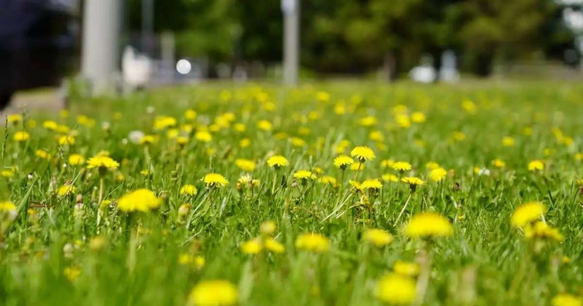 Маусым айында ауа райы қандай болады