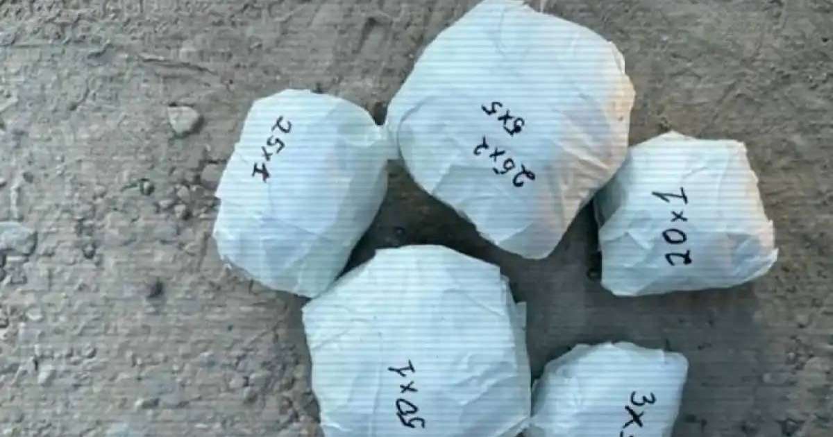 Шымкентте полицейлер жүргізушіден есірткі тәркіледі