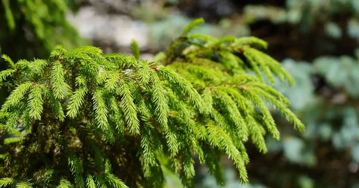 Елімізде алдағы күндері күн суытады