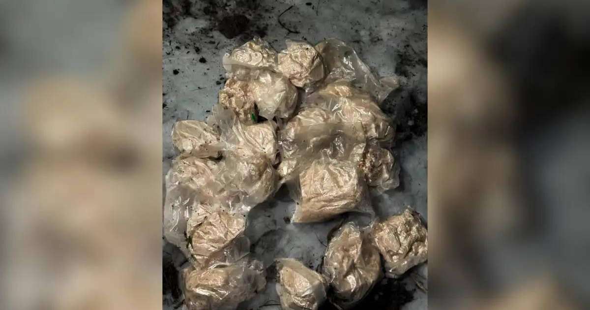 Заңсыз айналымнан 20 келі синтетикалық есірткі тәркіленді