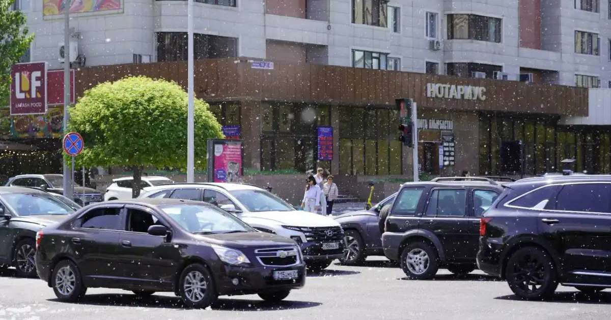 Елімізде көлік саны 6 миллионнан асты