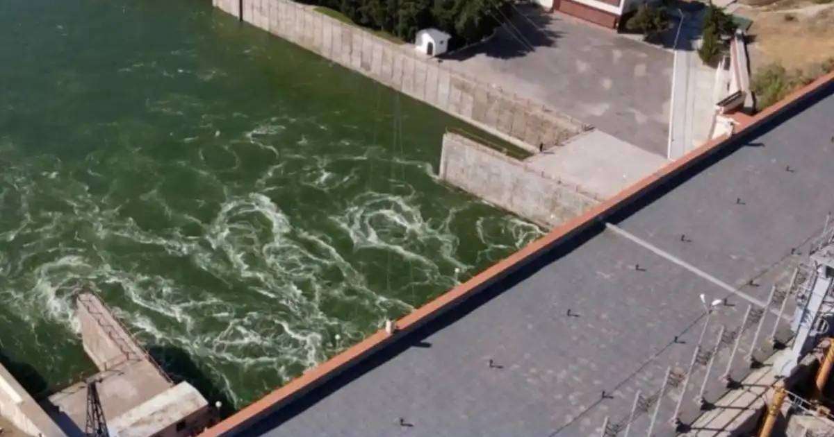 Colman Domingo and Jude Law at amfAR’s Venice Gala