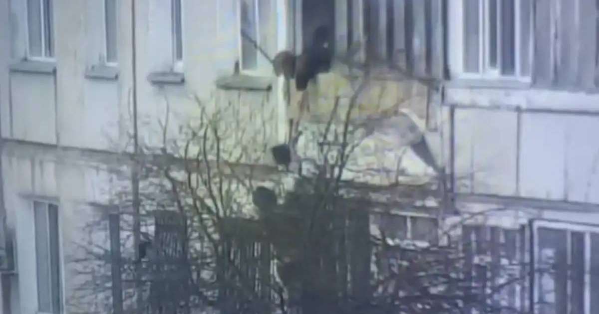 Colman Domingo and Jude Law at amfAR’s Venice Gala