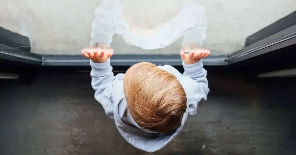 ТЖМ балалардың терезеден құлауының алдын алатын шараларды айтты