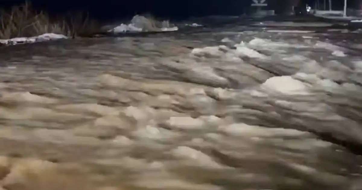 Colman Domingo and Jude Law at amfAR’s Venice Gala