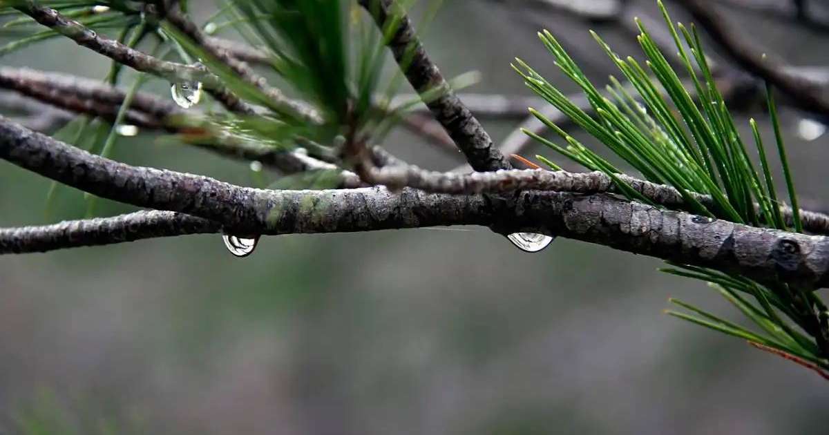 Елімізде күн күрт суытады – Қазгидромет