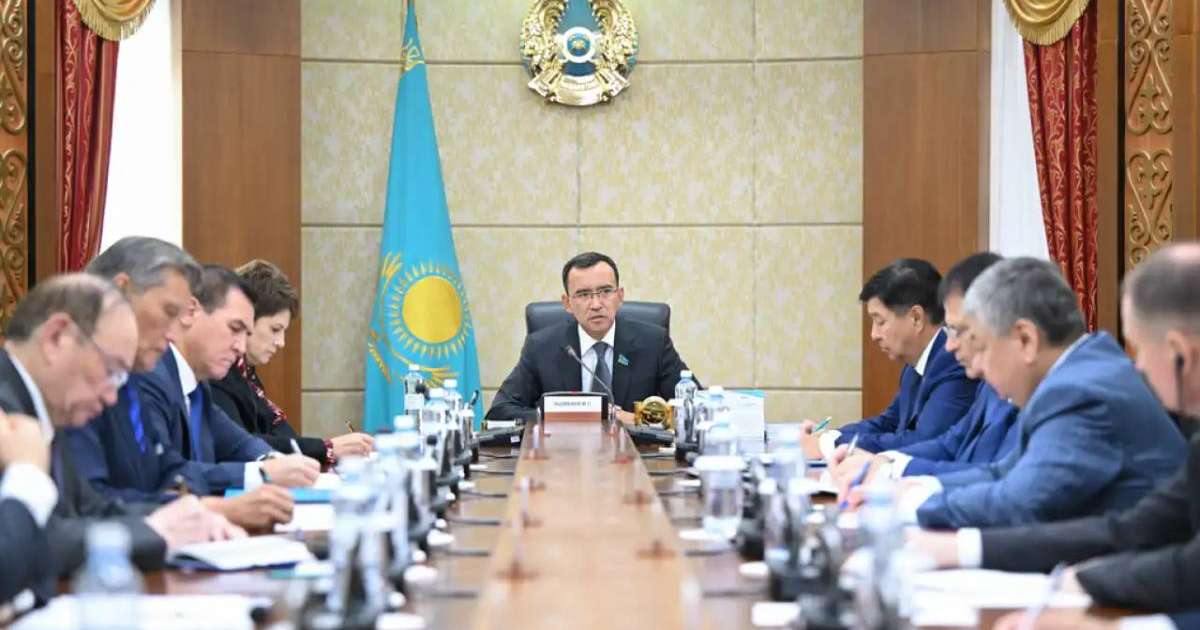 Сенатта референдумға дайындық барысы талқыланды