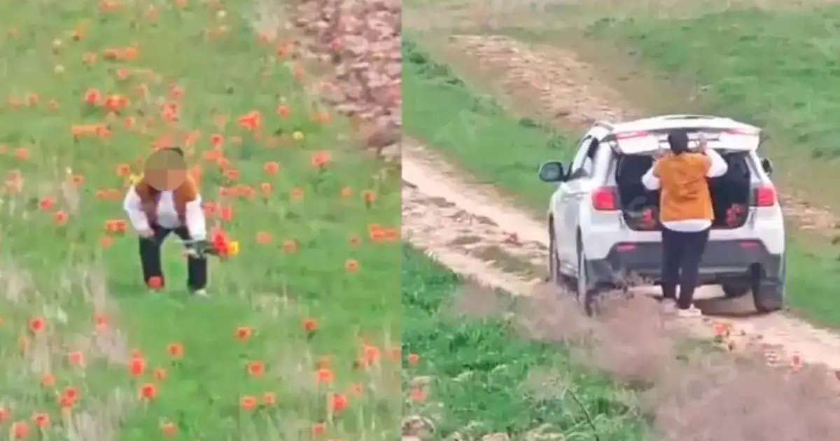 Желіде 12 млн теңгенің қызғалдағын жұлған әйелдің видеосы тарады