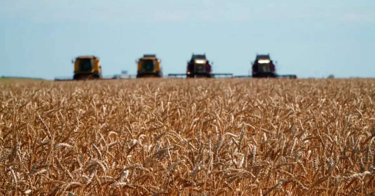 Елде алдағы үш жылда 200-ден астам агроөнеркәсіптік жоба қаржыландырылады