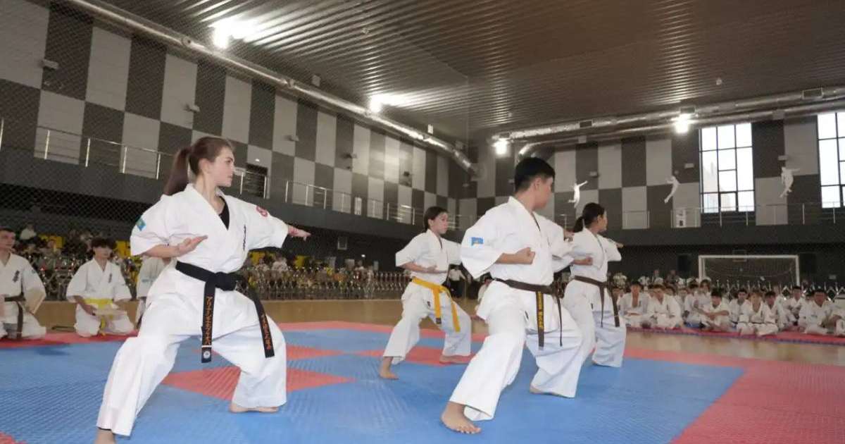 Астанада балаларды спорт секцияларына қабылдау басталады