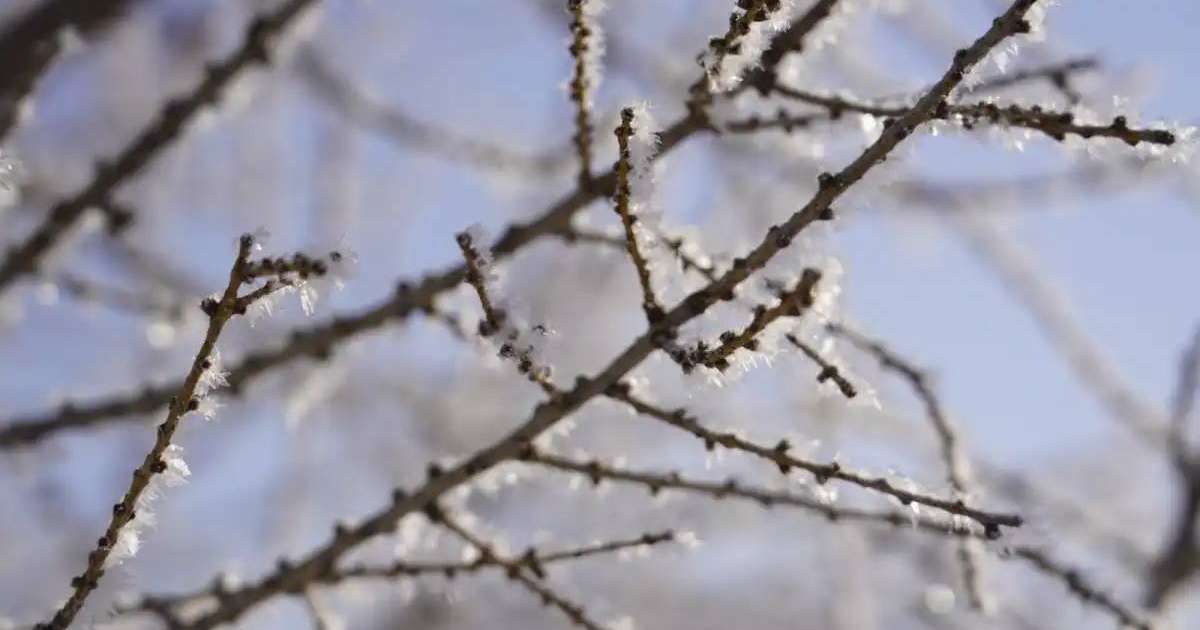 «Қар аралас жаңбыр»: еліміздің барлық өңірінде күн суытады