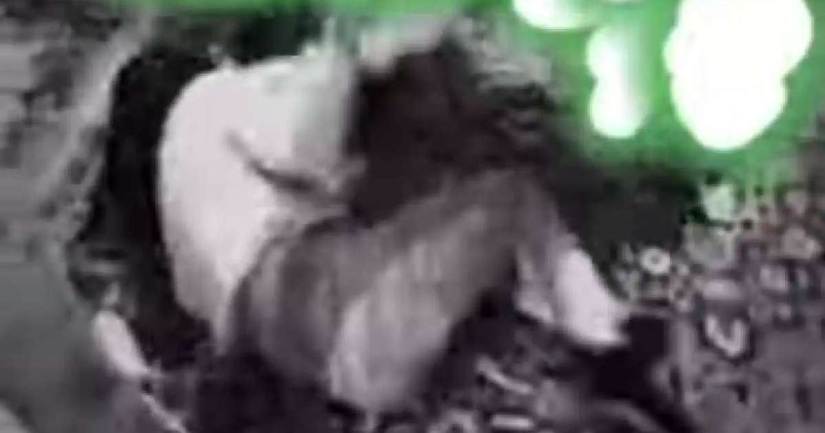 Colman Domingo and Jude Law at amfAR’s Venice Gala