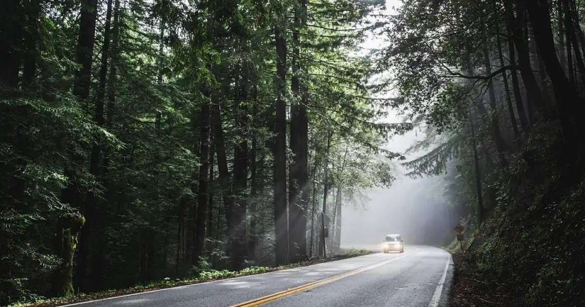 Қазақстанда саяхаттауға арналған TravelStan мобильдік қосымшасы іске қосылады