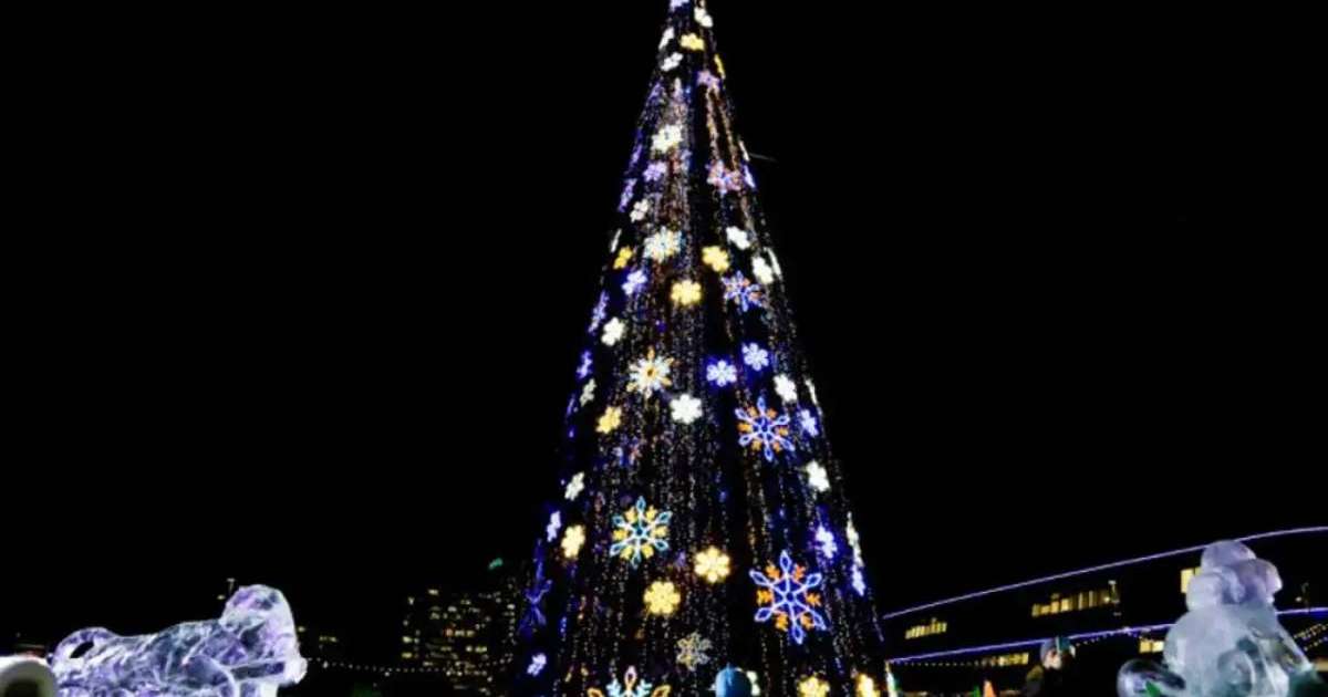 Шымкенттегі бас шырша өртенді (ВИДЕО)