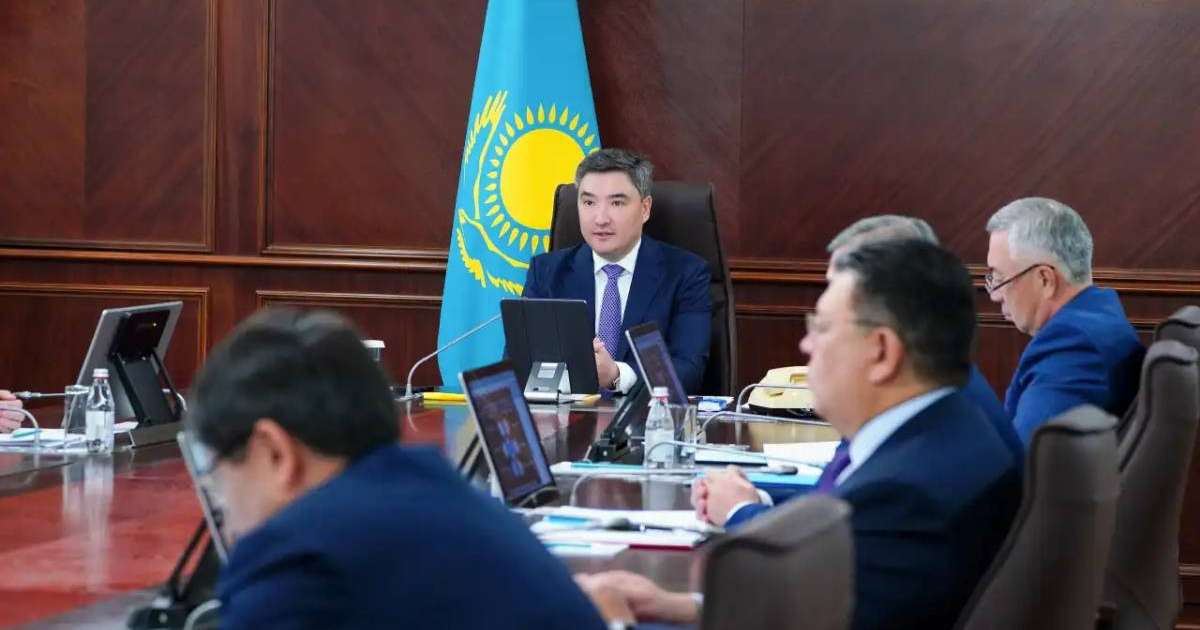 Үкімет АЭС салу бойынша референдум өткізуге қатысты қаулы қабылдады