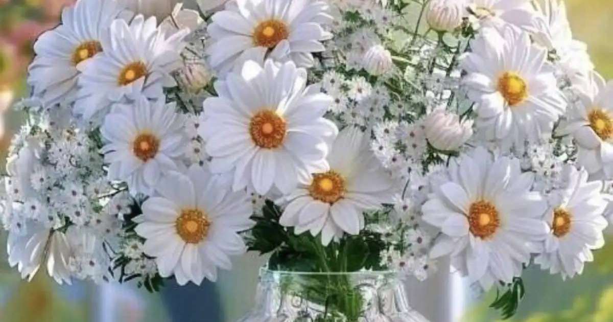 8 наурызға қандай сыйлық жасауға болады