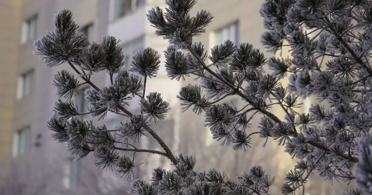 Бүгін еліміздің ірі қалаларында ауа райы қандай болады