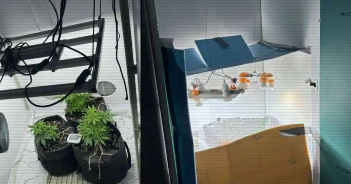 ІІМ: Полиция тәулік ішінде үш есірткі зертханасын жойды