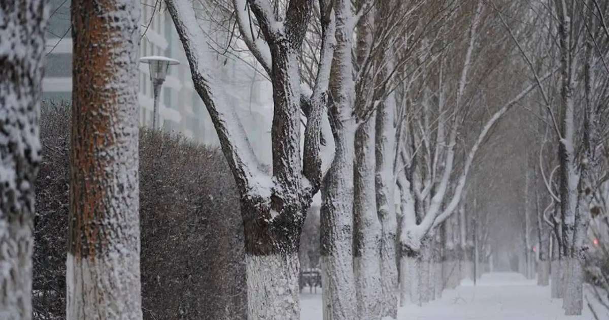 Бірқатар өңірде дауылды ескерту жарияланды