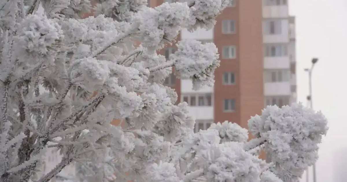 Алдағы күндері 35 градусқа дейін аяз болуы мүмкін