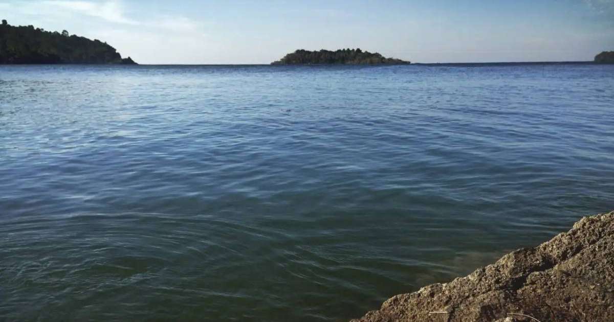 Colman Domingo and Jude Law at amfAR’s Venice Gala